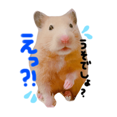 [LINEスタンプ] キンクマ シナモンの生活①
