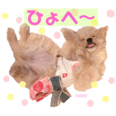 [LINEスタンプ] タレ目のテディさん♡