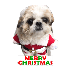 [LINEスタンプ] はじめてのクリスマル