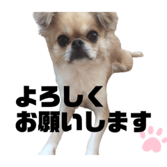 [LINEスタンプ] ばにらさん①