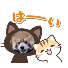 [LINEスタンプ] インコ8