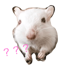 [LINEスタンプ] スナネズミのだいふく