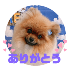 [LINEスタンプ] りくスタンプ1☆
