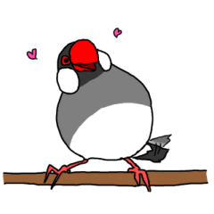 [LINEスタンプ] 文鳥のぶんピー