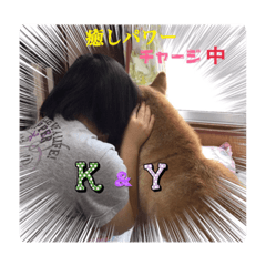 [LINEスタンプ] ゆずるオンリーワン