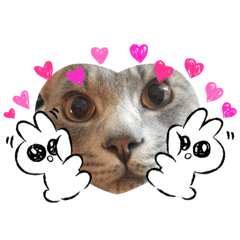 [LINEスタンプ] 琉輝オリジナルスタンプ