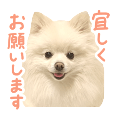 [LINEスタンプ] ラルちゃん5