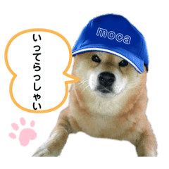[LINEスタンプ] こいけさんちのモカ様
