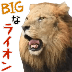 [LINEスタンプ] BIGなライオンの日常生活！ほほえみフレンズ