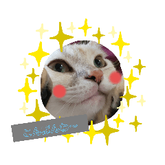 [LINEスタンプ] みるくここあ！のスタンプ5