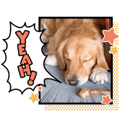 [LINEスタンプ] 愉快な怜央32
