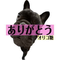 [LINEスタンプ] うちのバイエス3