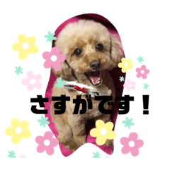 [LINEスタンプ] ナラファミリー26