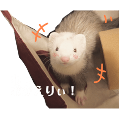 [LINEスタンプ] エルちゃん釣り顔