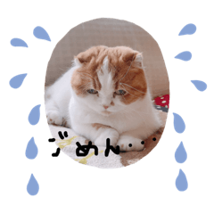 [LINEスタンプ] きなちのスタンプ。