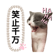 [LINEスタンプ] ニャンキーズその2