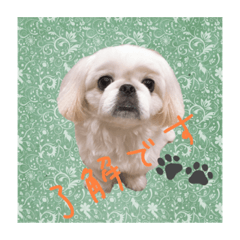 [LINEスタンプ] ギブミースマイル2