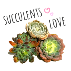 [LINEスタンプ] mainanaすたんぷ