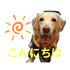 [LINEスタンプ] むちゃちの日常