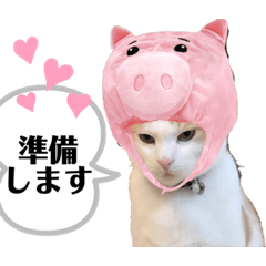 [LINEスタンプ] じんたん＆おもにゃん2