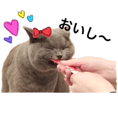 [LINEスタンプ] 小鉄くんの日常