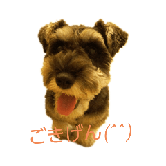 [LINEスタンプ] koto 0223