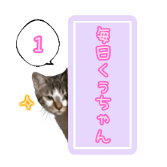 [LINEスタンプ] 毎日くぅちゃん1