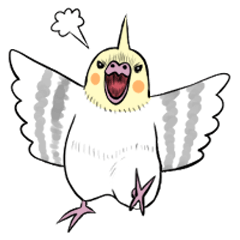 [LINEスタンプ] ちょっぴり尖った？オカメインコさん