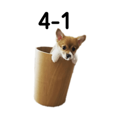 [LINEスタンプ] 使い所がむつかしい コーギーのりんごさん