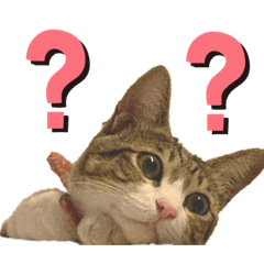 [LINEスタンプ] レオおコメちゃん