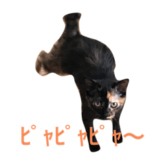 [LINEスタンプ] おこげと七味2