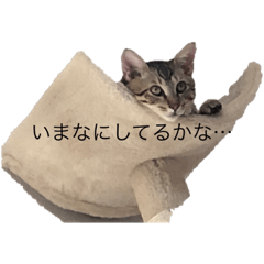 [LINEスタンプ] adtk