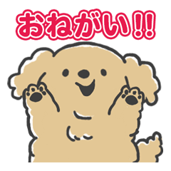 [LINEスタンプ] ちゃむとの暮らし【日常】