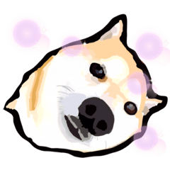 [LINEスタンプ] 柴犬ちゃん！3