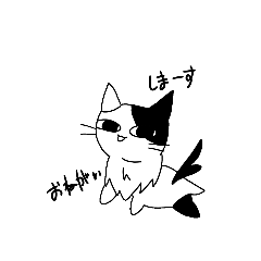 [LINEスタンプ] みけねこまた！ゆるスタンプ