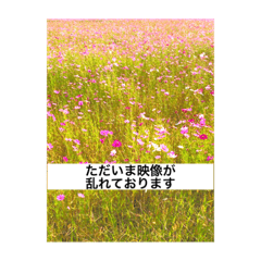 [LINEスタンプ] なんやこれはー
