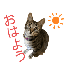 [LINEスタンプ] ちくわであそぶ〜？
