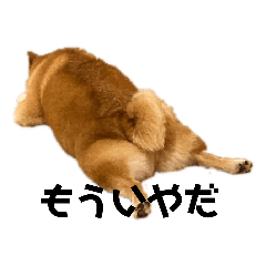 [LINEスタンプ] あに・まる
