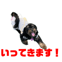 [LINEスタンプ] ミルキー＆フラン1