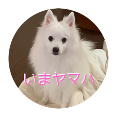 [LINEスタンプ] 猿集団と一匹ワンちゃんと一匹恐竜