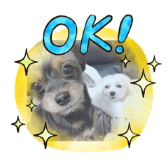 [LINEスタンプ] しぃロン⭐️スタンプ