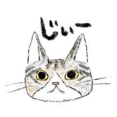 [LINEスタンプ] じーっと見てくる猫