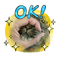[LINEスタンプ] ぜ〜んぶのの♡