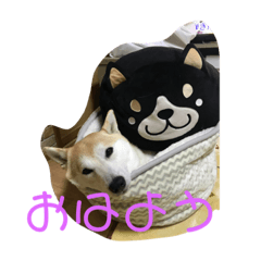 [LINEスタンプ] ちかゆきのスタンプ