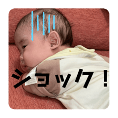 [LINEスタンプ] 斯波の子孫3