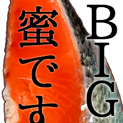 [LINEスタンプ] 鮭の流行語2020BIGの画像（メイン）