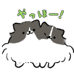 [LINEスタンプ] ミニチュアシュナウザーみみと先住犬ちょこ