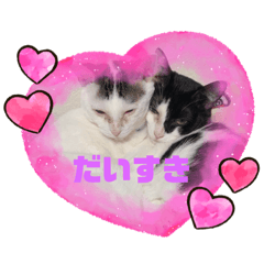 [LINEスタンプ] アニマルパーク(miichan)