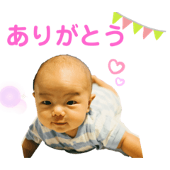 [LINEスタンプ] ひびきは今日も絶好調