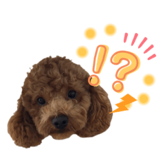 [LINEスタンプ] 実家のかわいい家族たち